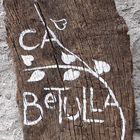 فيلا Novate Mezzolaفي Ca Betulla المظهر الخارجي الصورة